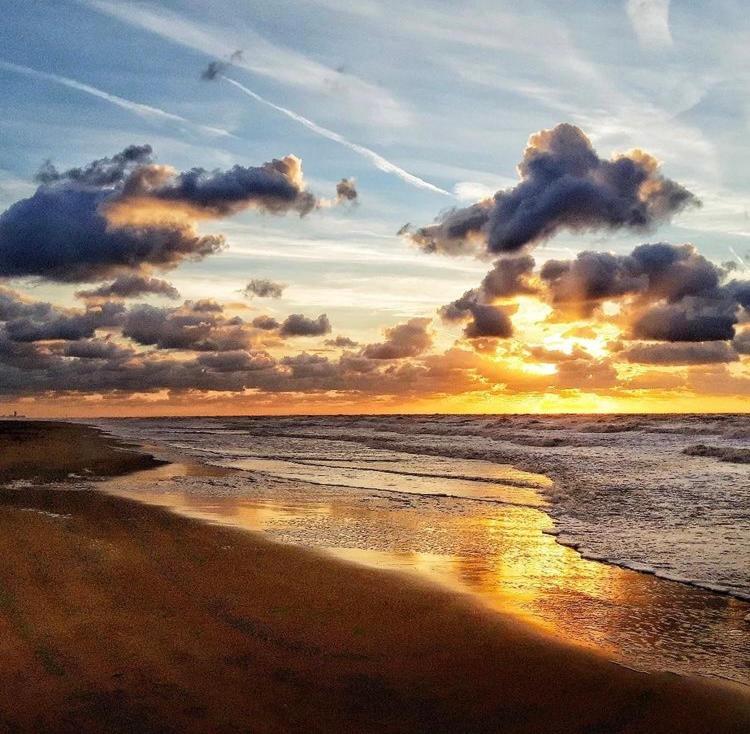 Carpe Diem De Haan Dış mekan fotoğraf